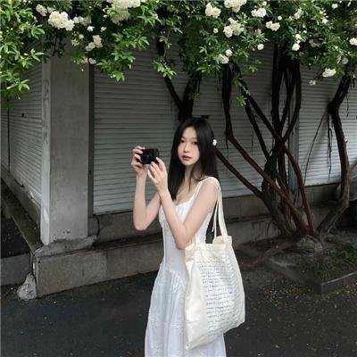 活动写真