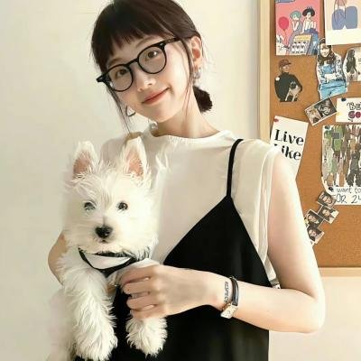小乌龟的开学日